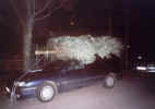 Weihnachtsfeier Bild 1.jpg (109564 Byte)
